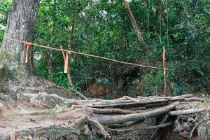 BIB: 
                            <button type="button" onclick="openModal(27722832)" class="btn btn-primary btn-sm float-right btn-popup" data-toggle="modal" data-target=".modal-high-quality">
                        <i class="fas fa-shopping-cart"></i> Add to Cart
                    </button>
                                            <button type="button" onclick="isThisMe(27722832, true)" class="btn btn-success btn-sm float-right btn-popup btn-isme hidden" data-toggle="tooltip" data-placement="bottom" title="นี่คือรูปของคุณใช่ไหม คลิกที่นี่เพื่อเอาเข้าอัลบั้ม">
                        <i class="fas fa-plus"></i> Add to album
                    </button>
                    <button type="button" onclick="isThisMe(27722832, false)" class="btn btn-warning btn-sm float-right btn-popup btn-isnotme hidden">
                        <i class="fas fa-ban"></i> Remove from album
                    </button>